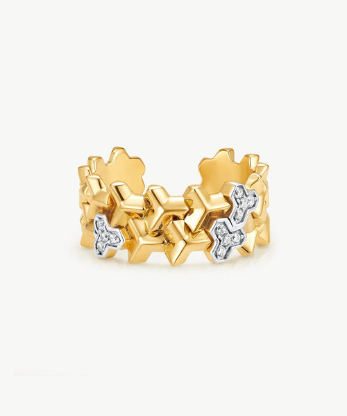 Lynka Chain-Link Band Ring